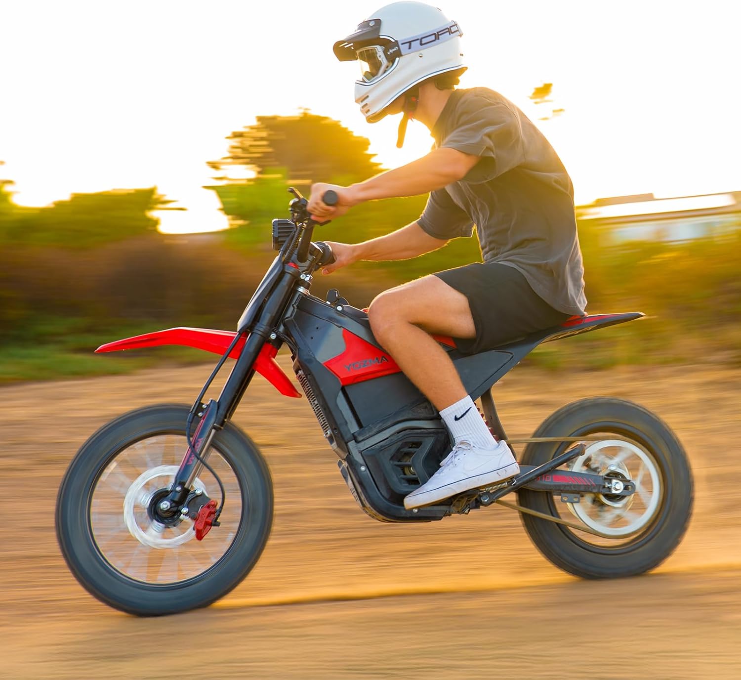 IN10 Electric Dirt Bike, 2600W 40MPH Electric-Motorcycle with 48V/23AH Battery Ebike, Full Hydraulic Brakes and Suspensions Mountain Off-Road E Dirt Bike, for Teens & Adults