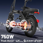 Foldable Electric Bike for Adults and Teens with 750W Peak Motor, Commuter E-Bike with 20 MPH and 30-35 Miles PAS Range, 14" Mini Folding Ebike with 48V Removable Battery, City Electric Bicycle