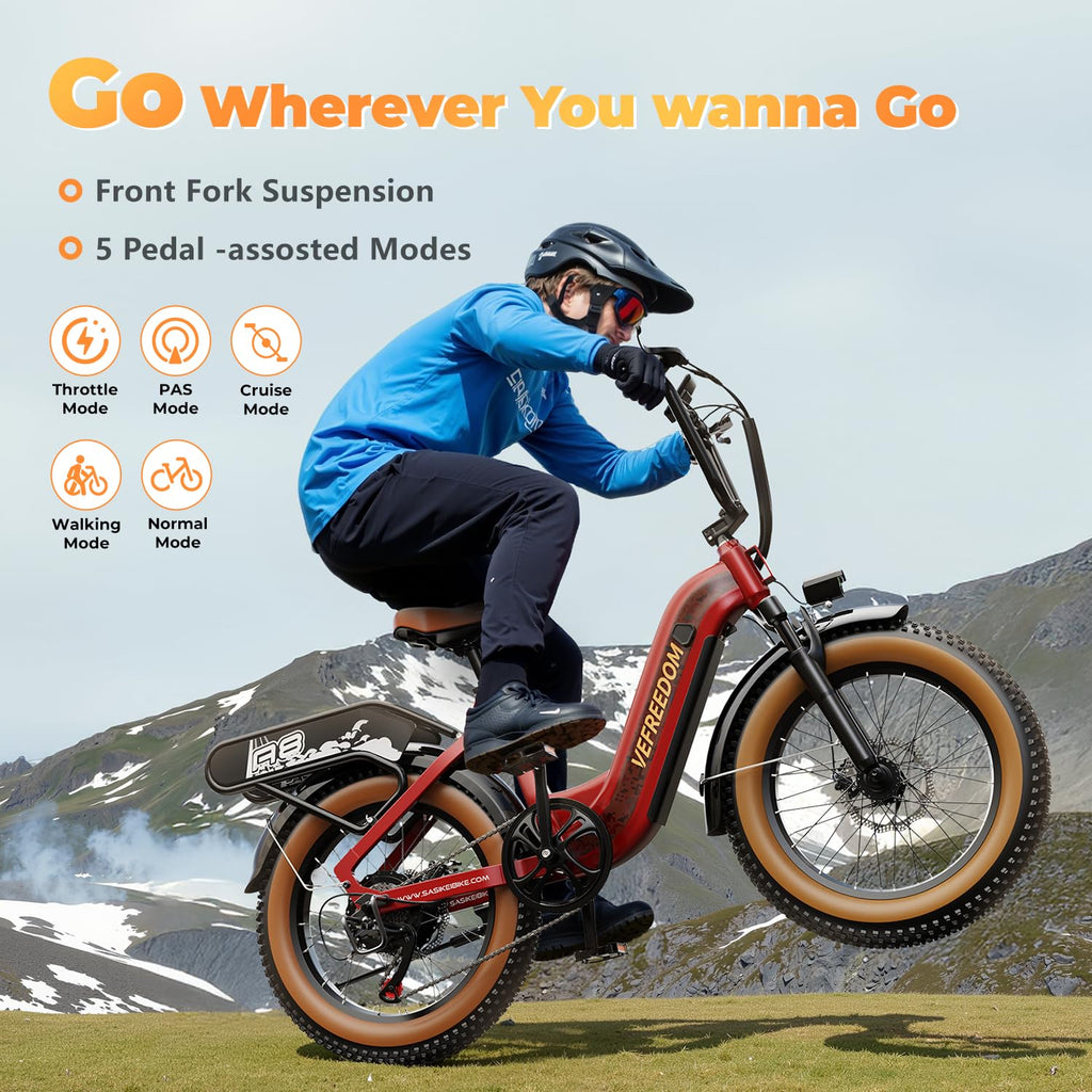 1500W Electric Bike for Adults,48V 20Ah Removable Battery Fast Ebike,Max 70Miles & 30MPH,20" x4.0 Fat Tire Electric Mountain Bike,7-Speed, Step-Thru Commuting Bicycle