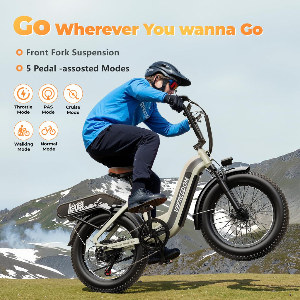 1500W Electric Bike for Adults,48V 20Ah Removable Battery Fast Ebike,Max 70Miles & 30MPH,20" x4.0 Fat Tire Electric Mountain Bike,7-Speed, Step-Thru Commuting Bicycle