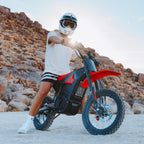 IN10 Electric Dirt Bike, 2600W 40MPH Electric-Motorcycle with 48V/23AH Battery Ebike, Full Hydraulic Brakes and Suspensions Mountain Off-Road E Dirt Bike, for Teens & Adults